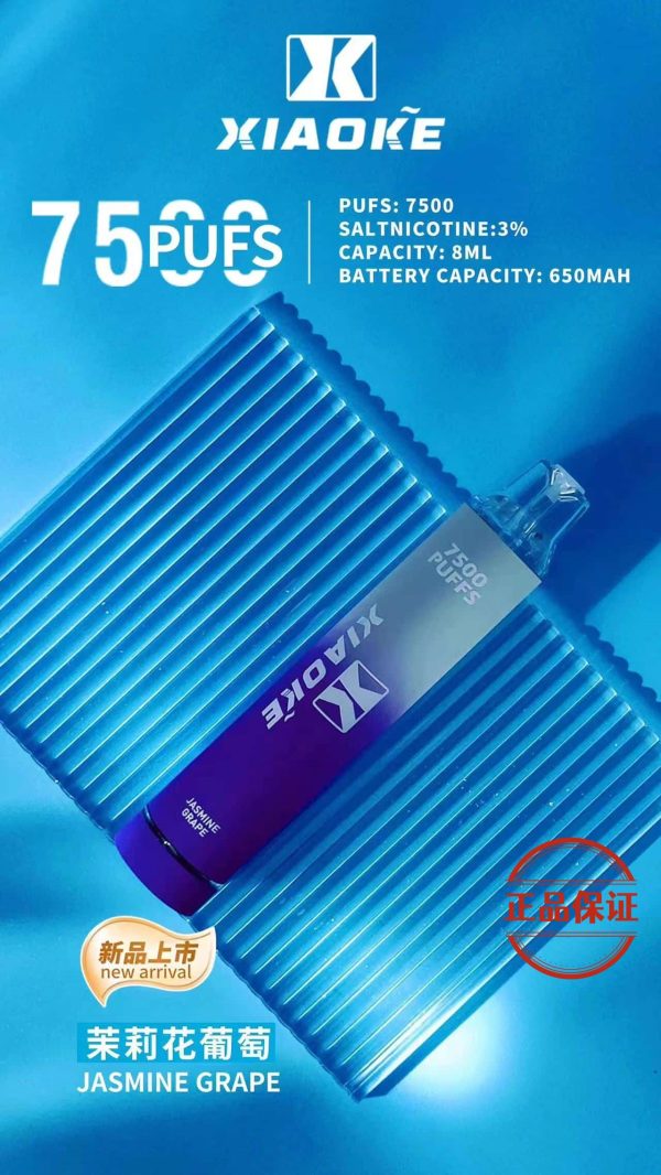 XIAOKE 梟客 7500 口 發光版 拋棄式電子煙