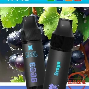 MEEL 9000口 拋棄式電子煙：圖片 3