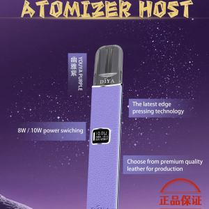 DIYA 叮啞 皮革一代主機：圖片 3